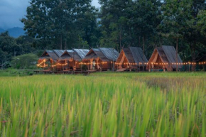 Paddy Fields Haven - Natures Nest